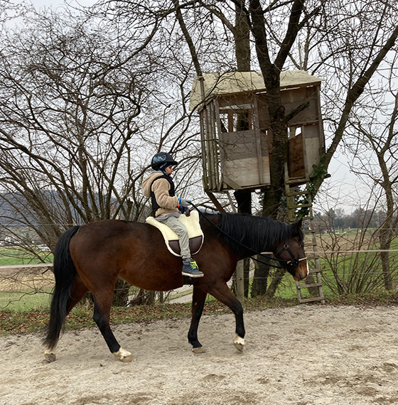 Alleine reiten in der Reittherapie