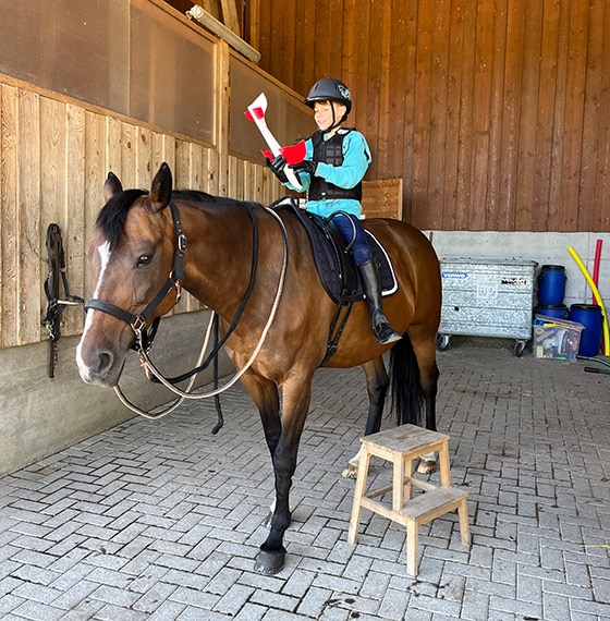 Reittherapie los geht's